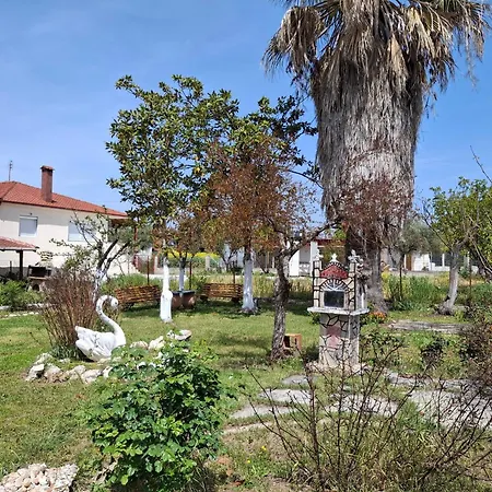 οlga House